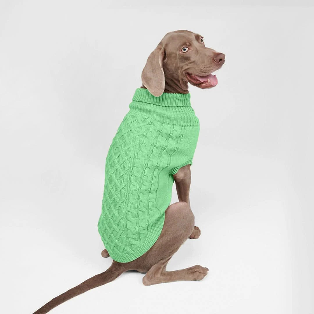 Dog Sweater in Mint Green with Soft Stretch Knit, Ribbed Trim and Easy-Potty Front for Comfortable Everyday Wear