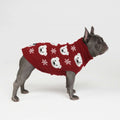 Dog Sweater with Ribbed Neck, Cuffs and Hem, Stretchable Knit Fit, Deep V Potty Cut, Sizes S–4XL