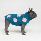 Dog Sweater with Soft Knit Stretch, Ribbed Trim, Deep V Potty Cut and Seven Printed Designs