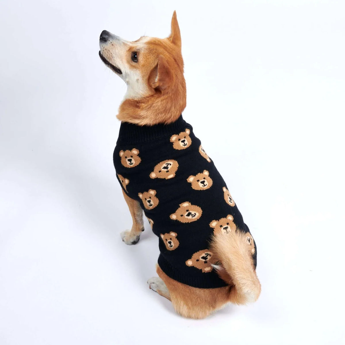 Dog Sweater with Soft Knit Stretch, Ribbed Trim, Deep V Potty Cut and Seven Printed Designs