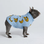 Dog Sweater with Soft Knit Stretch, Ribbed Trim, Deep V Potty Cut and Seven Printed Designs
