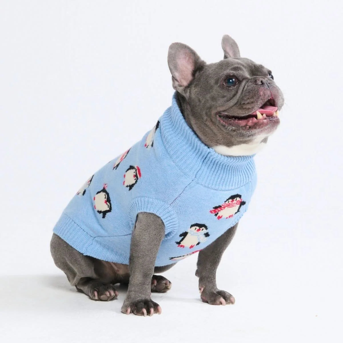 Dog Sweater with Soft Knit Stretch, Ribbed Trim, Deep V Potty Cut and Seven Printed Designs