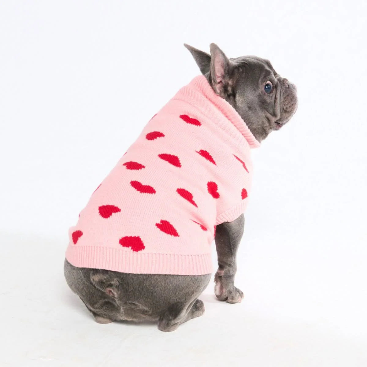Dog Sweater with Soft Knit Stretch, Ribbed Trim, Deep V Potty Cut and Seven Printed Designs