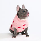 Dog Sweater with Soft Knit Stretch, Ribbed Trim, Deep V Potty Cut and Seven Printed Designs