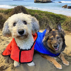Dog Towel Drying Robe with Waist Strap, Oversized Fast-Drying Coat for Wet Walks, Baths and Beach Trips