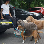 Dog Traffic Handle