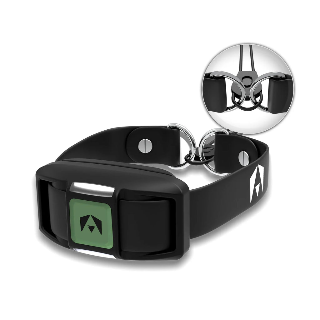 Dog Training Collar Receiver Set