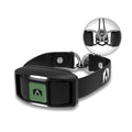 Dog Training Collar Receiver Set