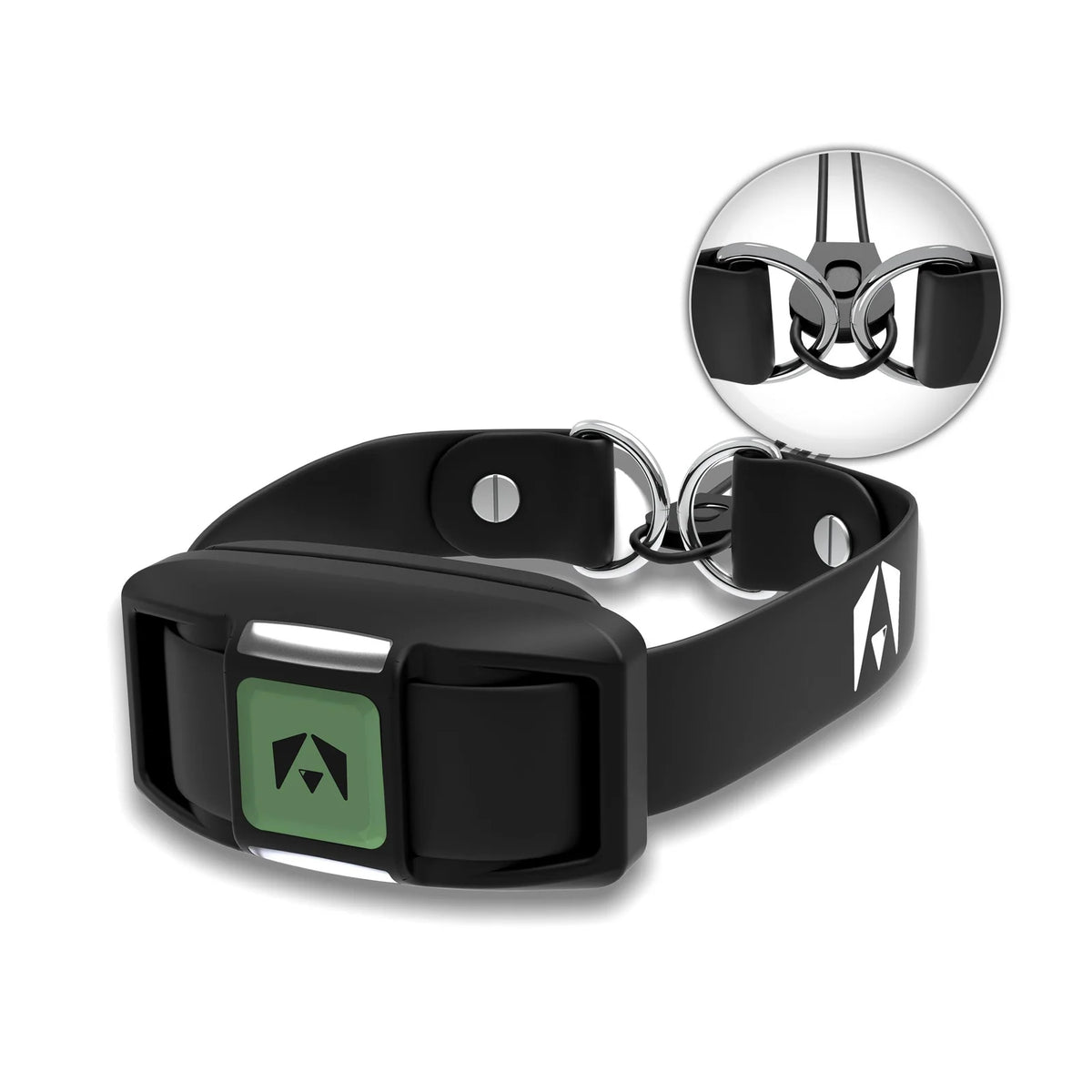 Dog Training Collar Receiver Set