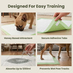 Dog Training Pads