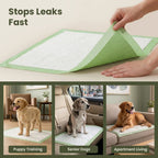 Dog Training Pads