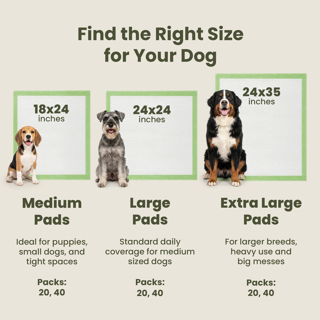 Dog Training Pads