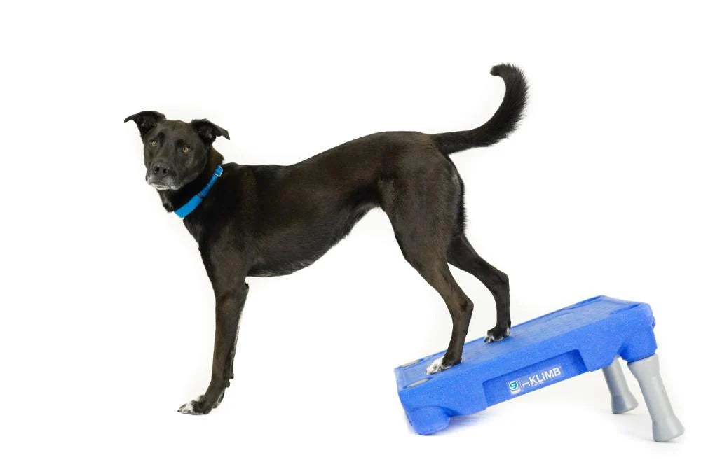 Dog Training Platform