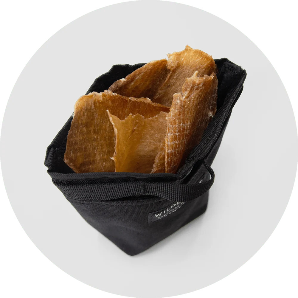 Dog Treat Bag