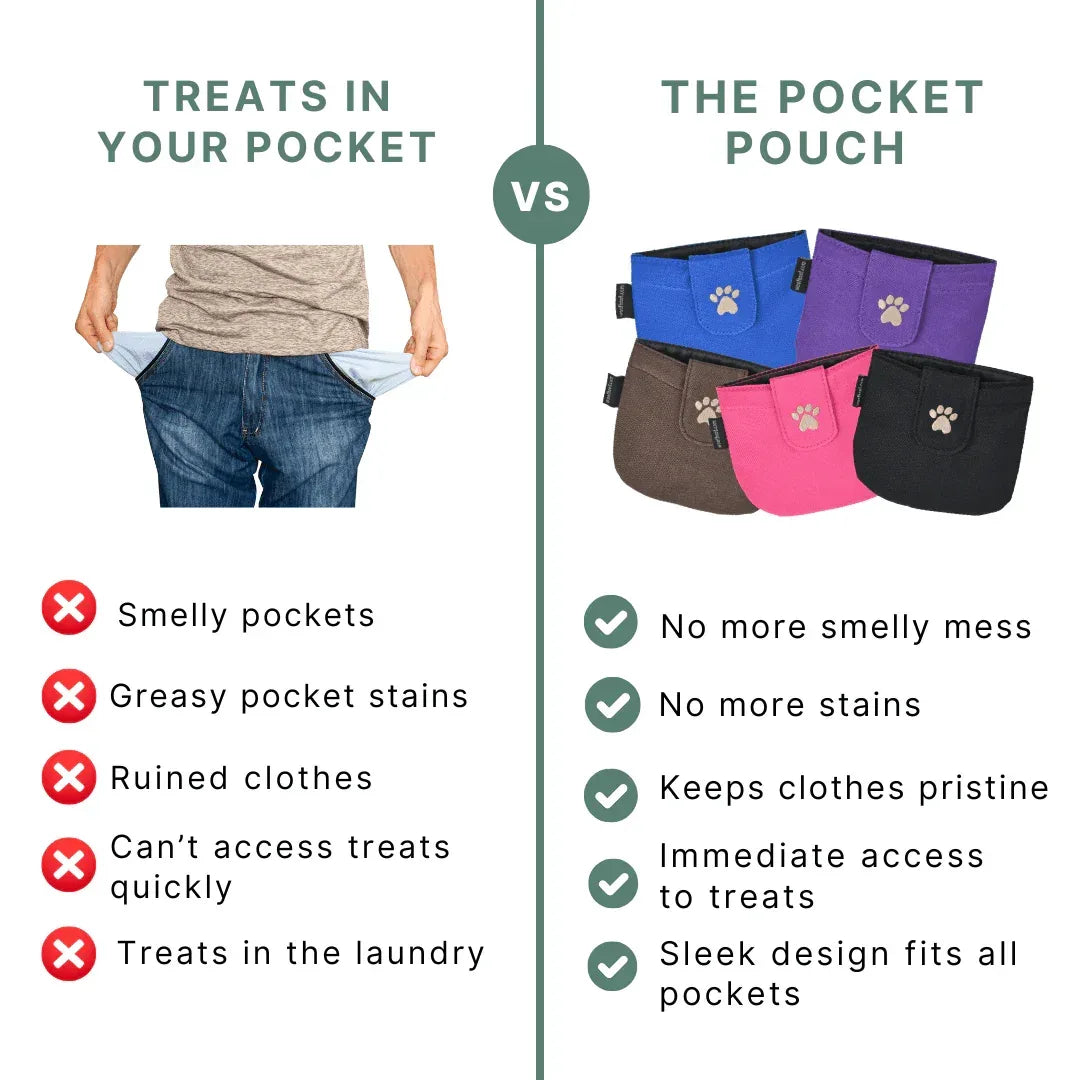 Dog Treat Pouch