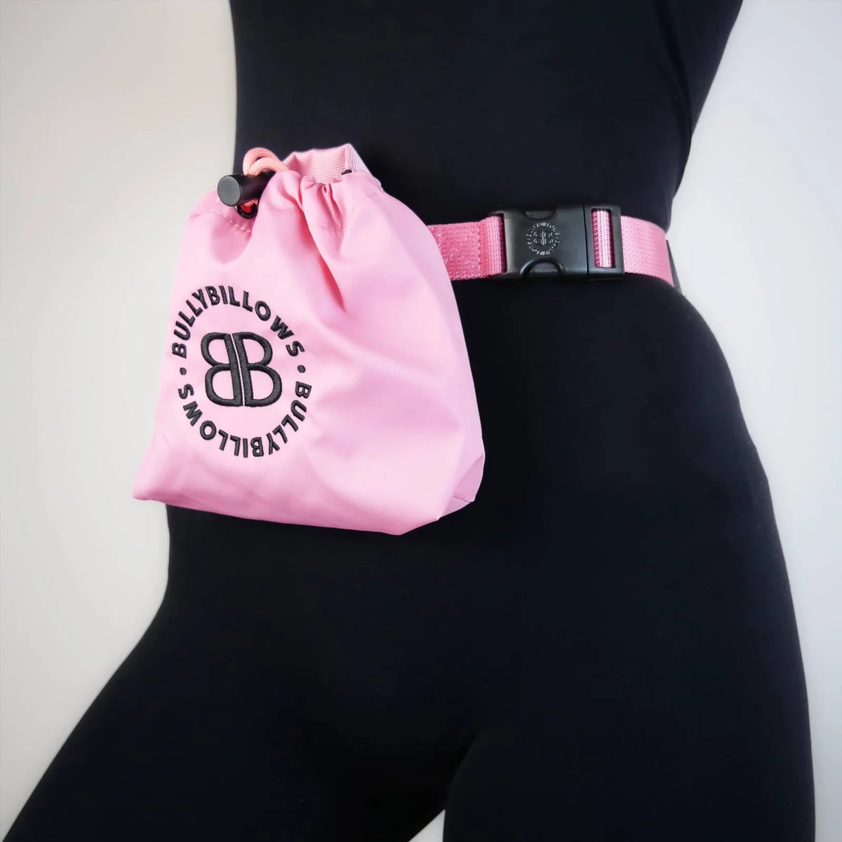 Dog Treat Pouch in Pink