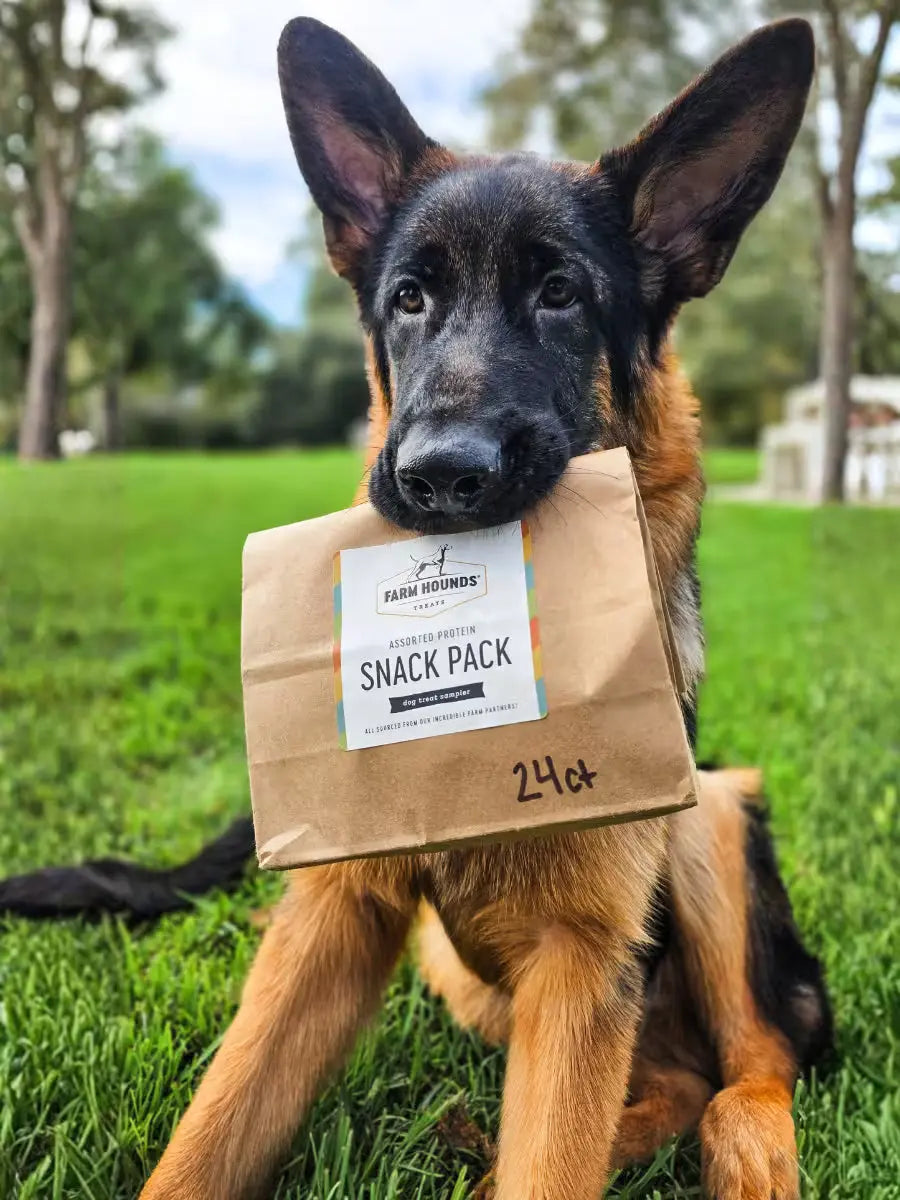 Dog Treat Sample Pack