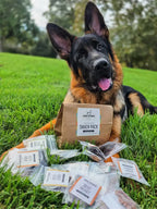 Dog Treat Sample Pack