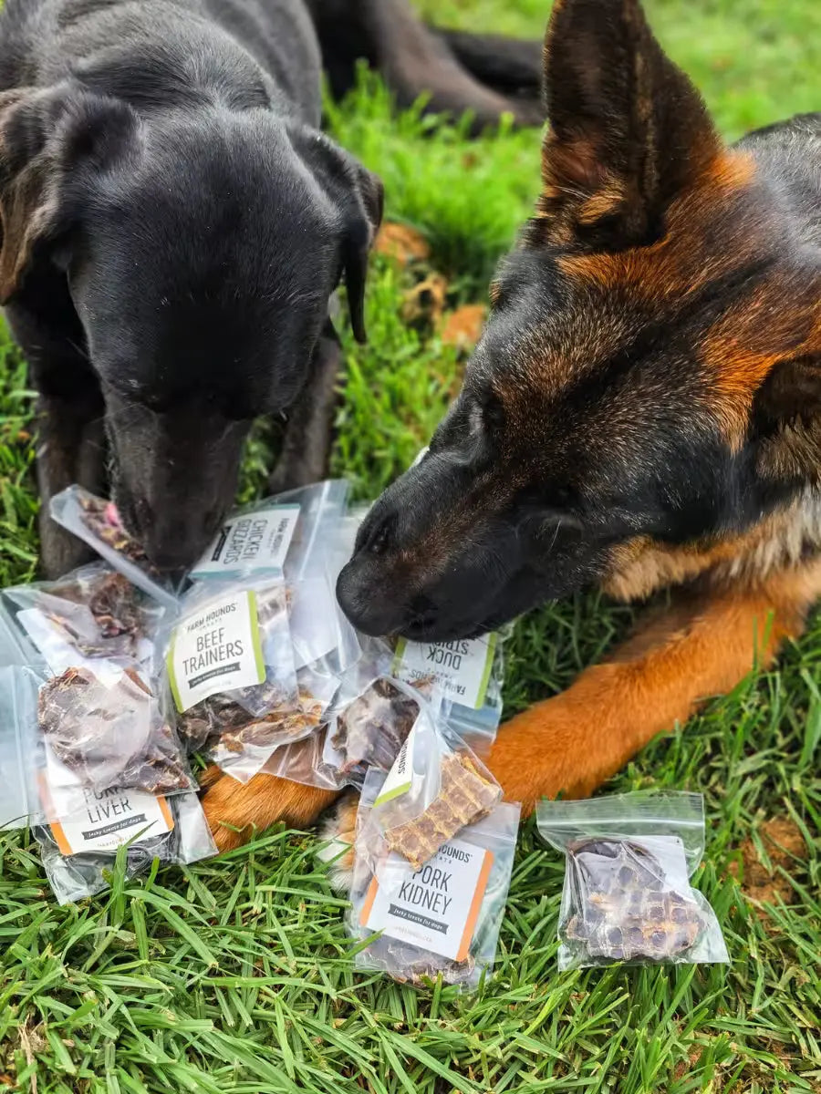 Dog Treat Sample Pack