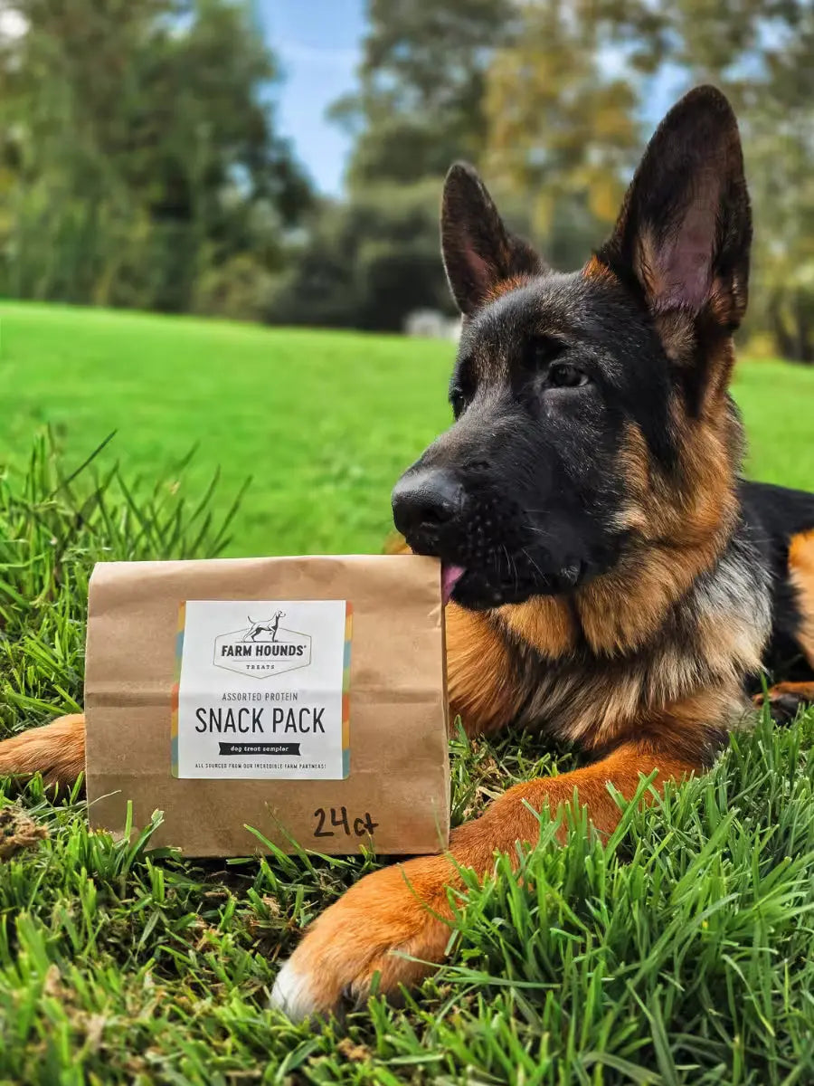 Dog Treat Sample Pack