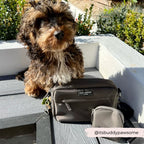 Dog Walking Bag in Mocha Nylon