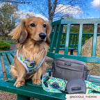 Dog Walking Bag in Mocha Nylon