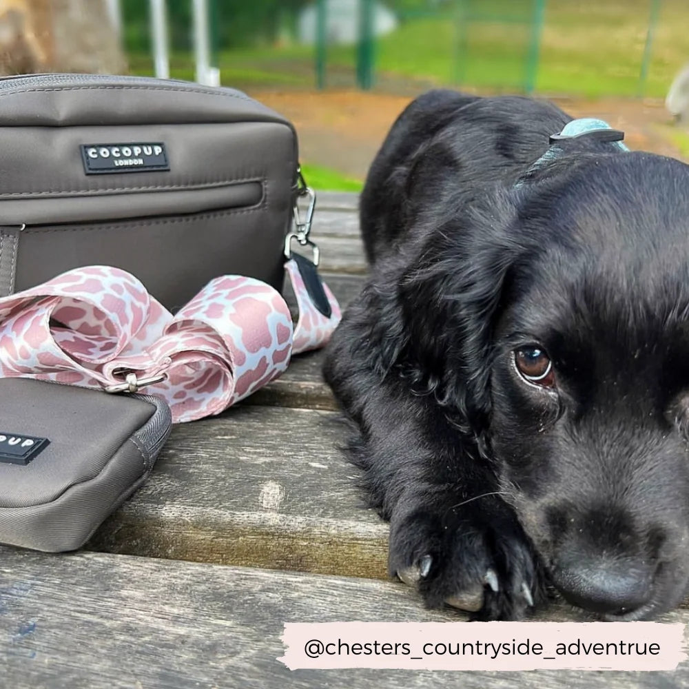 Dog Walking Bag in Mocha Nylon