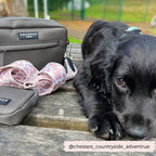 Dog Walking Bag in Mocha Nylon