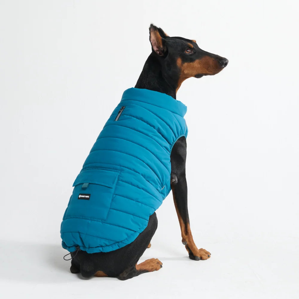 Dog Winter Jacket in Teal