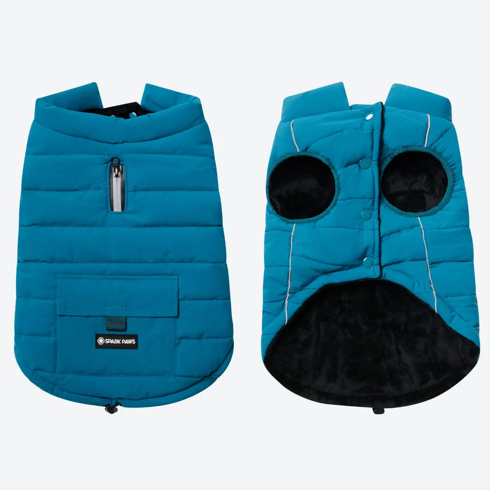 Dog Winter Jacket in Teal