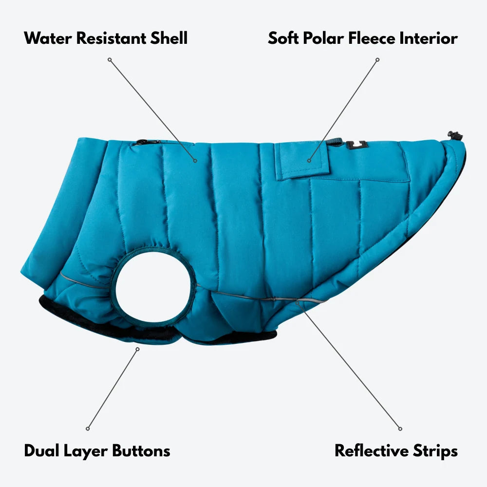 Dog Winter Jacket in Teal