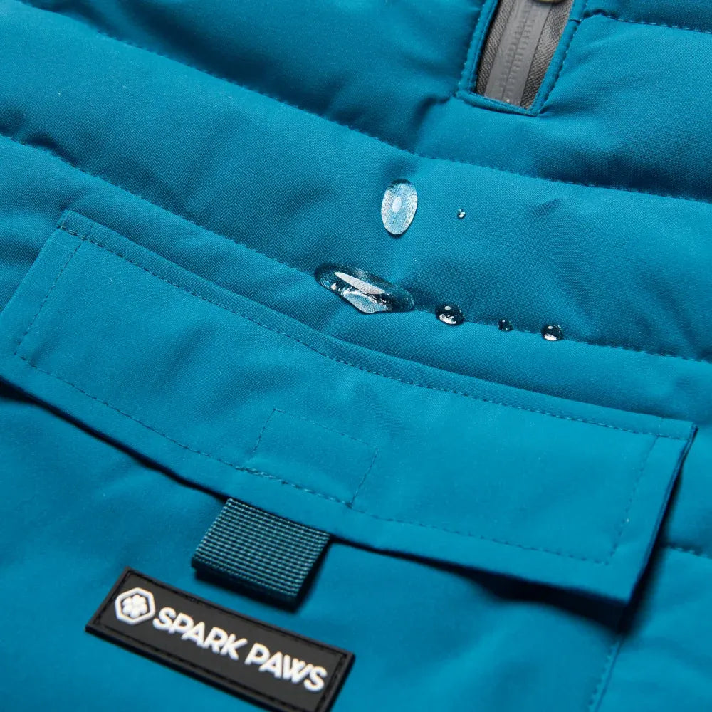 Dog Winter Jacket in Teal