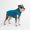 Dog Winter Jacket in Teal