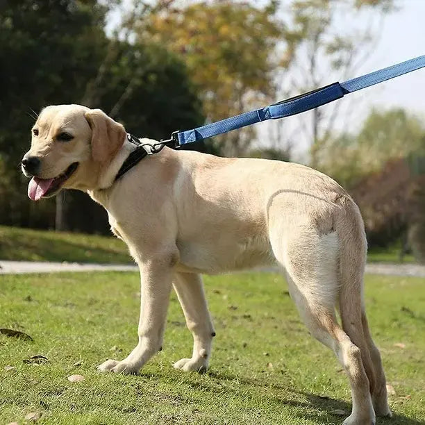 Double Handle Dog Leash
