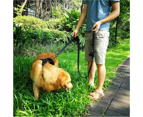 Double Handle Dog Leash
