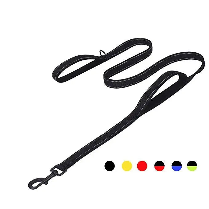 Double Handle Dog Leash