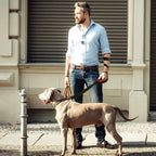 Double Handle Dog Leash