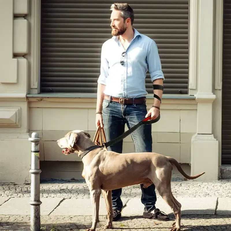Double Handle Dog Leash