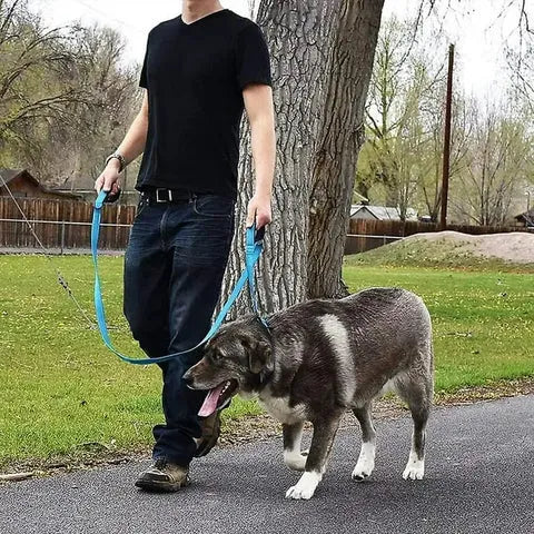 Double Handle Dog Leash