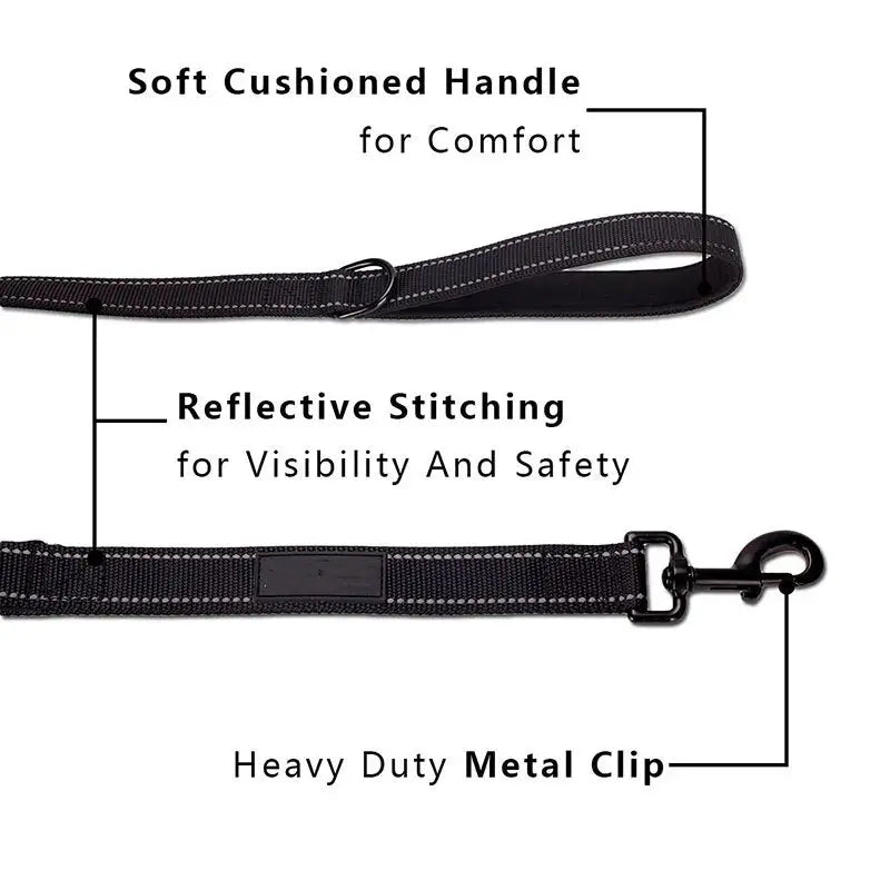 Double Handle Dog Leash
