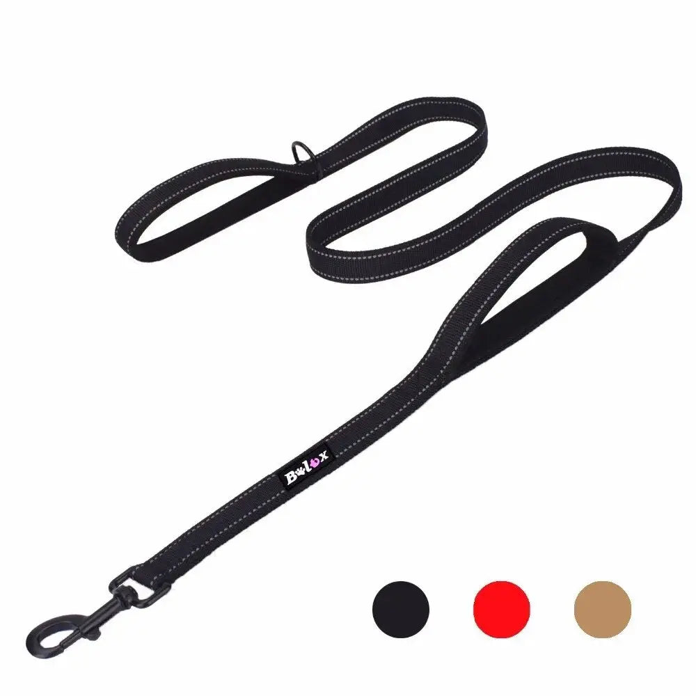 Double Handle Dog Leash