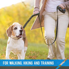 Double Handle Dog Leash