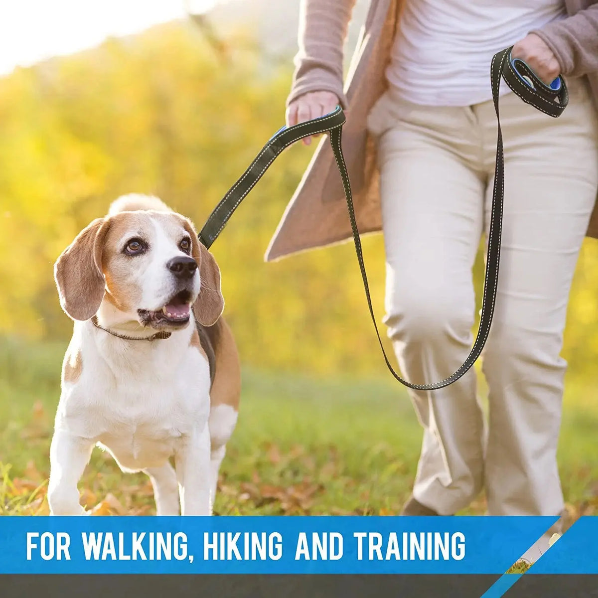 Double Handle Dog Leash