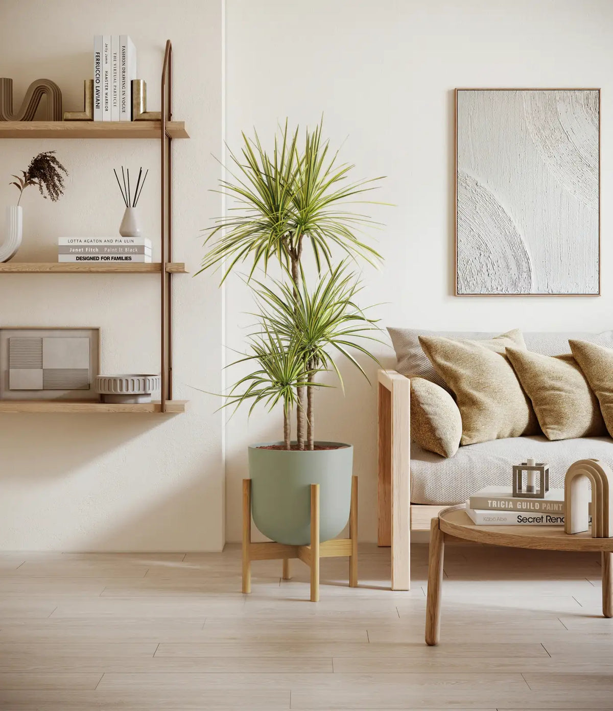 Dracaena Kiwi Plant with Arching Green and Cream Foliage for a Lively Tropical Accent in Your Home
