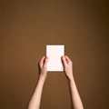 Drawing Book, [pocket]