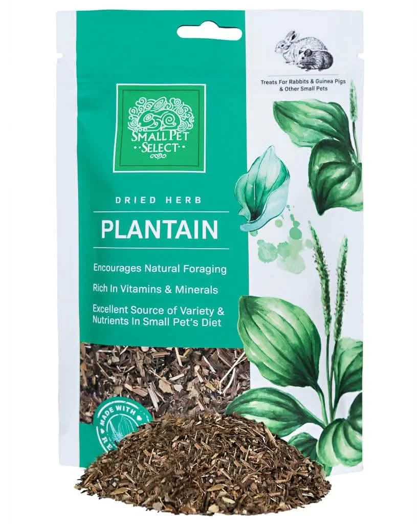Dried Plantain Forage Treat for Rabbits, Guinea Pigs and Other Small Animals, Fiber-Rich Daily Enrichment Snack