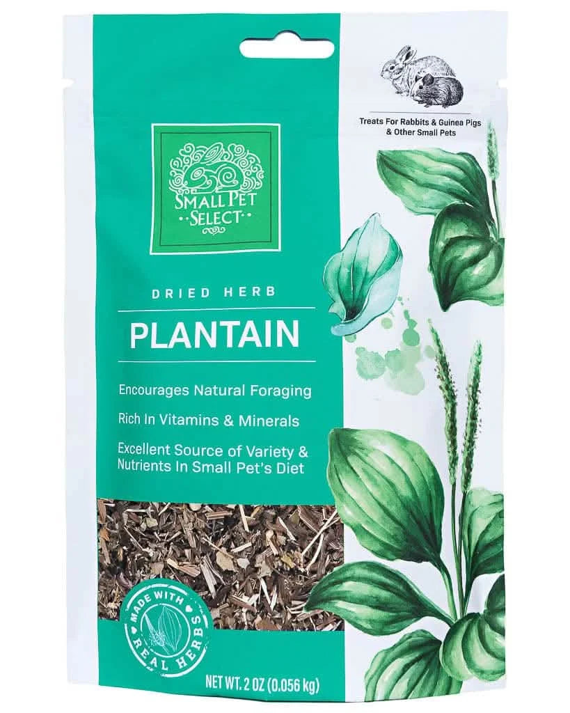 Dried Plantain Forage Treat for Rabbits, Guinea Pigs and Other Small Animals, Fiber-Rich Daily Enrichment Snack