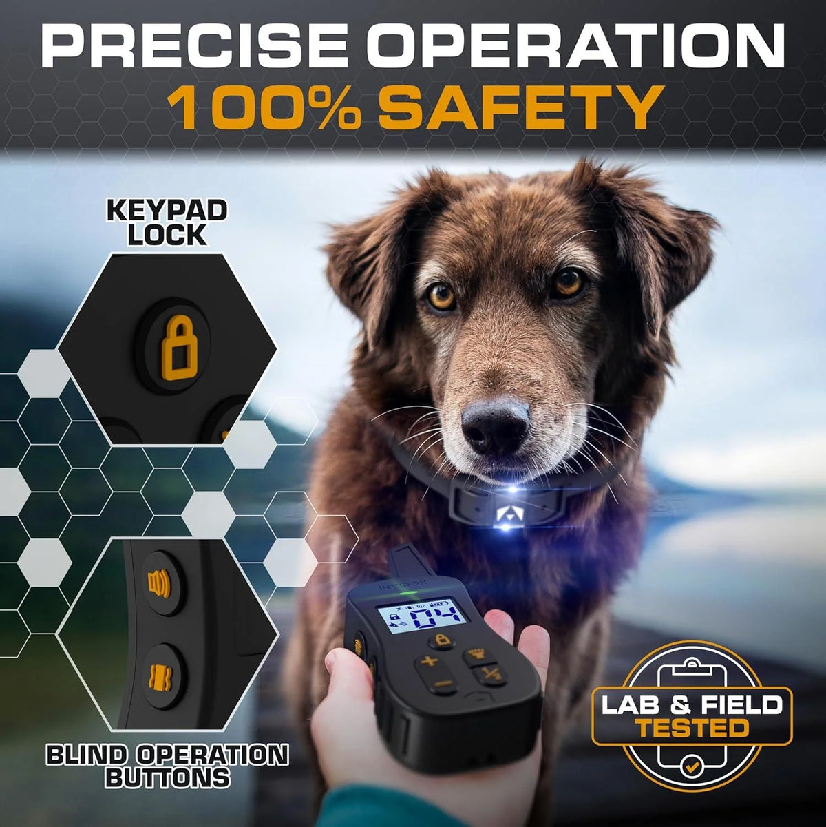 Dual Dog Training Collar System with Remote, 124 Levels, Night Light, IP67 Receivers and 1,100-Yard Range