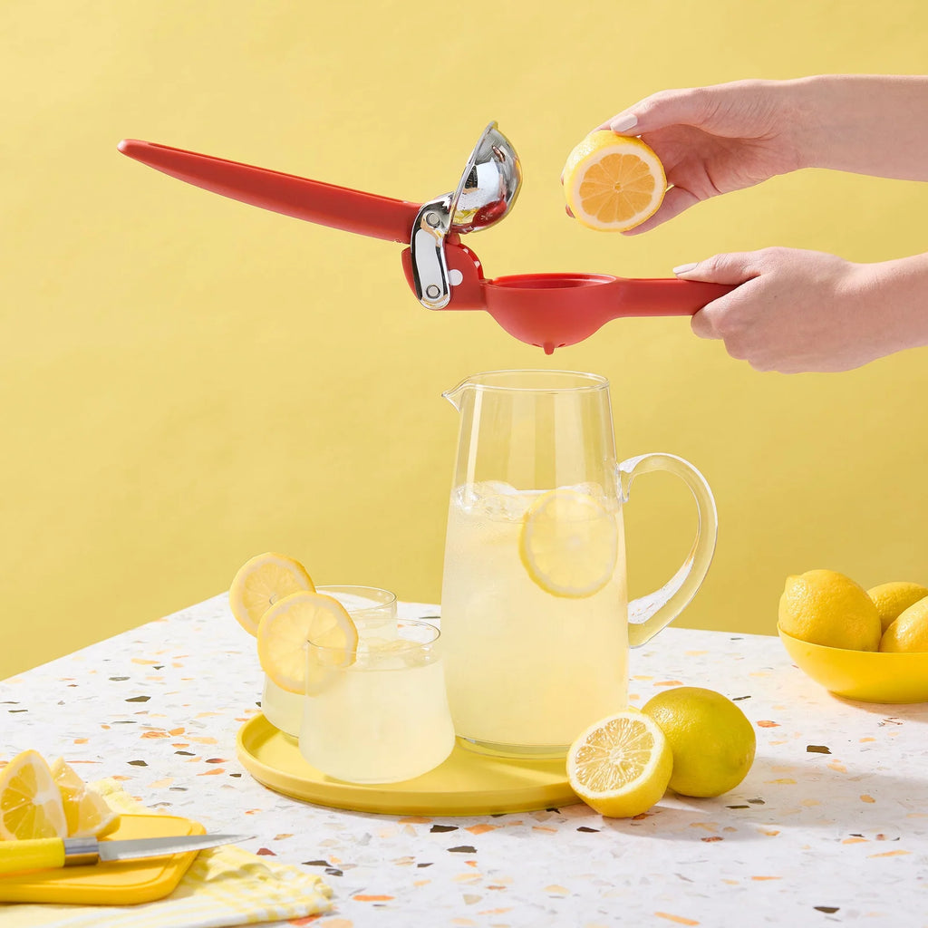 Dual-Gear Handheld Citrus Juicer