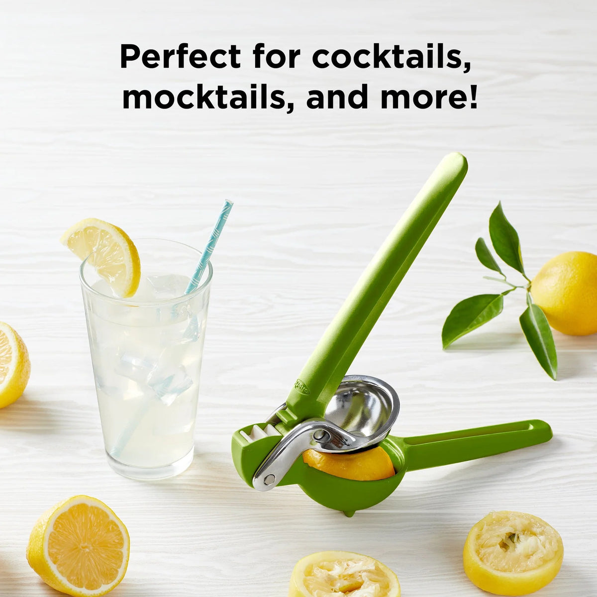 Dual-Gear Handheld Citrus Juicer